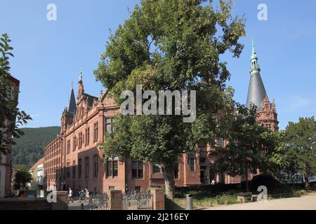 Biblioteca universitaria a Heidelberg, Baden-Württemberg, Germania Foto Stock