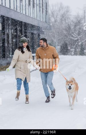 uomo gioioso che tiene il guinzaglio mentre cammina con la ragazza felice e akita inu cane sotto la neve caduta Foto Stock