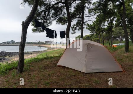 Una tenda piantata in una pineta che si affaccia sulla curva Hamo Beach, con lavanderia strung in su tra gli alberi per asciugare. Olle Trail Route 10, Corea del Sud. Foto Stock