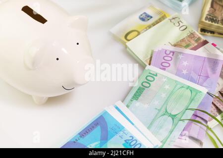 Composizione d'investimento con banconote di diversi paesi e banca bianca di maialini su un tavolo bianco con ombra di palma. Concetto di risparmio e investimento. S Foto Stock