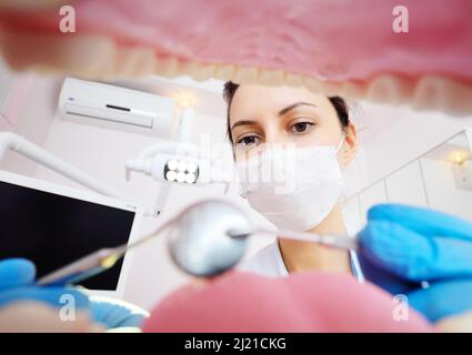 una giovane dentista femminile esamina i denti del paziente. Vista dall'interno della ganascia. Foto Stock