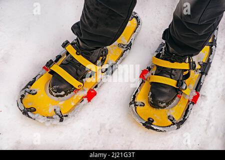 Racchette da neve gialle su scarponi neri. Racchette da neve nella foresta invernale. Gambe e racchette da neve. Foto Stock