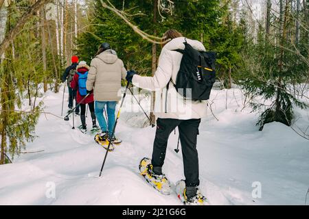 Racchette da neve nella foresta invernale. Attività all'aperto in inverno. Trekking in un paesaggio innevato con racchette da neve e racchette da trekking. Foto Stock