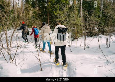 Racchette da neve nella foresta invernale. Attività all'aperto in inverno. Trekking in un paesaggio innevato con racchette da neve e racchette da trekking. Foto Stock