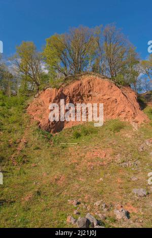 Lime pit lieth, nazionale geotop, Germania, Schleswig-Holstein Foto Stock