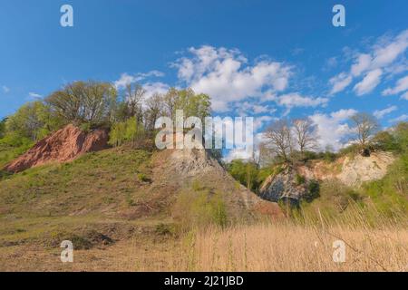 Lime pit lieth, nazionale geotop, Germania, Schleswig-Holstein Foto Stock