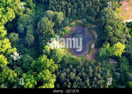 Stagno in una riserva naturale sulla costa occidentale delle Fiandre, vista aerea, Belgio, Fiandre, De Panne Foto Stock