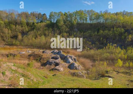 Lime pit lieth, nazionale geotop, Germania, Schleswig-Holstein Foto Stock