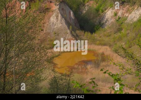 stagno in calce buca lieth, nazionale geotop, Germania, Schleswig-Holstein Foto Stock