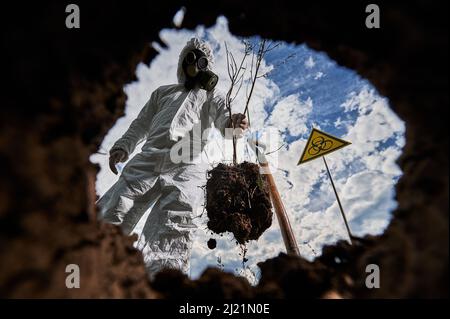 Albero volontario maschio irriconoscibile che pianta nella zona radioattiva di Chernobyl. Uomo che riforesta ambiente di natura infetto analisi del suolo durante la ricerca esperienza. Vista dalla buca di terra. Foto Stock