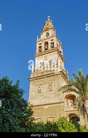 Il campanile della cattedrale di Cordova, visto dal giardino di fronte all'edificio Foto Stock