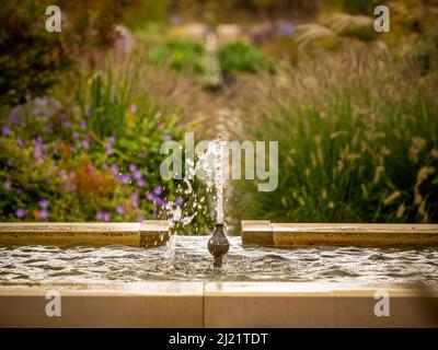 Fountain in the Paradise Garden progettato dall'architetto di paesaggio Tom Stuart-Smith presso il RHS Bridgewater. Salford. Greater Manchester. REGNO UNITO Foto Stock