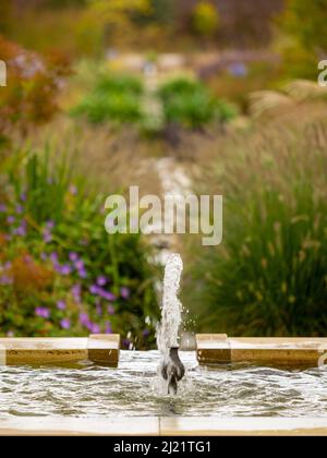 Fountain in the Paradise Garden progettato dall'architetto di paesaggio Tom Stuart-Smith presso il RHS Bridgewater. Salford. Greater Manchester. REGNO UNITO Foto Stock