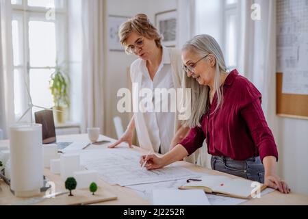 Le donne mature eco architetti con modello di moderni bulidings e progetti che lavorano insieme in ufficio. Foto Stock