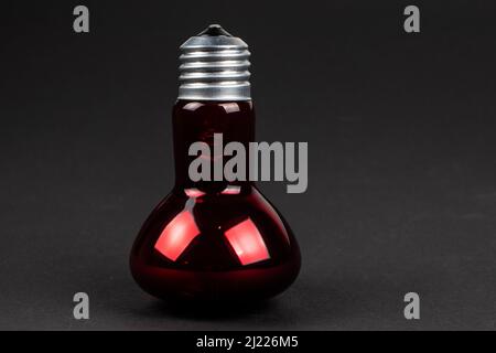 Lampada rossa dell'incubatore su sfondo scuro. Foto Stock