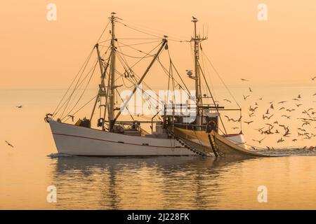 Peschereccio sul Mare del Nord Pesci con rete a strascico, Buesum, Schleswig-Holstein, Germania Foto Stock