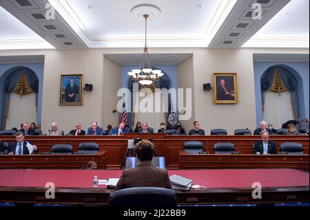 Shalanda Young, direttore dell’Ufficio di Gestione e bilancio, appare dinanzi a un Comitato della Camera sull’audizione di bilancio “il bilancio del Presidente per l’anno fiscale 2023” nell’edificio Canon House Office di Washington, DC, martedì 29 marzo 2022. (Foto di Rod Lammey/Pool/Sipa USA) Foto Stock