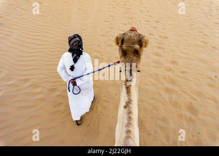 Giro in cammello dal Camel nel deserto di dubai Foto Stock