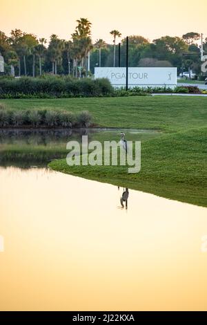 PGA TOUR Global Headquarters at Sunrise in Ponte Vedra Beach, Florida. (USA) Foto Stock