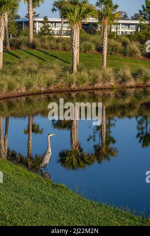 PGA TOUR Global Headquarters at Sunrise in Ponte Vedra Beach, Florida. (USA) Foto Stock