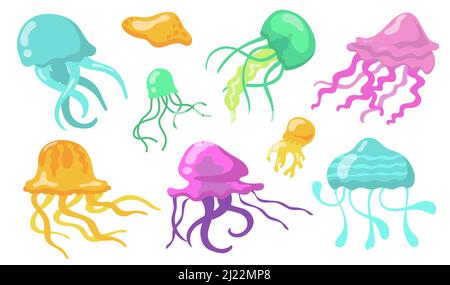 Set di meduse da nuoto Cartoon. Colorate creature marine tropicali trasparenti con tentacoli. Illustrazioni vettoriali per mare, oceano, vita sottomarina, d Illustrazione Vettoriale