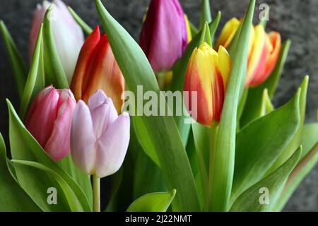 primo piano di tulipani colorati in un bouquet di fiori su sfondo scuro, fuoco selettivo Foto Stock