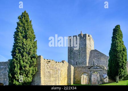 Il castello medievale di Palmela, risalente al 12th secolo. Portogallo Foto Stock