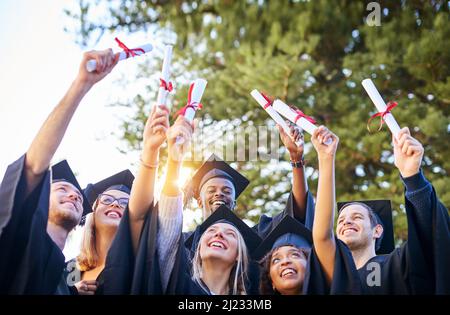 Il nostro duro lavoro è stato ripagato. Shot di un gruppo di laureati che tengono i loro diplomi in aria. Foto Stock