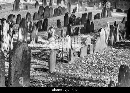 Boston, USA - 12 settembre 2017: File di lapidi sotto un albero al suolo di sepoltura di Granary. Divenne un cimitero nel 1660, il terzo più antico della città Foto Stock