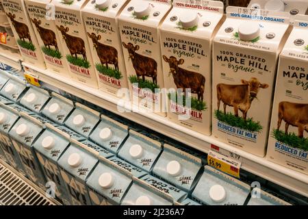 Latte biologico Grass-FED Maple Hill e bevande a base di piante di Oatley in un supermercato più fresco a New York martedì 22 marzo 2022. (© Richard B. Levine) Foto Stock