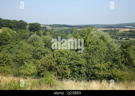 Spalter Hügelland / Spalter Hills / Foto Stock