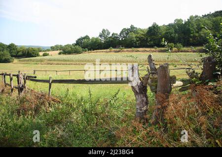 Spalter Hügelland / Spalter Hills / Foto Stock