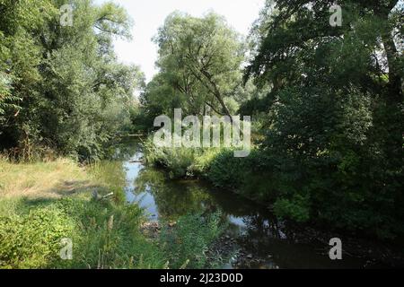 Fränkische Rezat / Franconia Rezat / Foto Stock