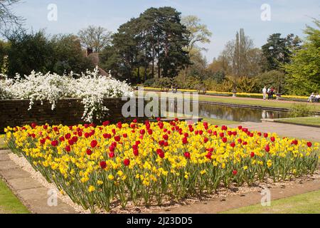 RHS Wisley Garden, Surrey, Inghilterra Foto Stock