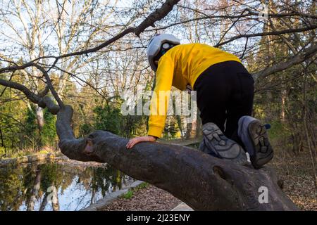 Bambino ragazzo albero di arrampicata accanto al laghetto nel Giardino Botanico, Soproni Egyetem (Università di Sopron), Sopron, Ungheria Foto Stock