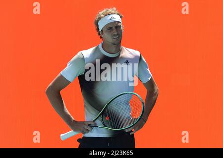 Alexander Zverev (GER) ha sconfitto Thanasi Kokkinakis (AUS) 6-4, 6-4, al Miami Open in corso di disputata all'Hard Rock Stadium di Miami Gardens, Florida il 29 marzo 2022: © Karla Kinne/Tennisclix/CSM Foto Stock