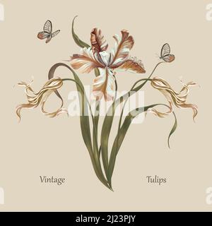 Illustrazione botanica vintage. Graziosi tulipani primaverili e farfalle. Disegno a mano acquerello, pittura su tela, poster interno Foto Stock