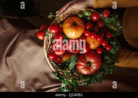 pomodori rossi e gialli in un cesto che tiene le mani Foto Stock