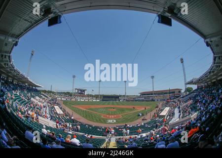 Lakeland, Florida USA: Una vista generale dello stadio durante una partita primaverile di baseball tra i Detroit Tigers e i New York Yankees, lunedì 28 marzo 2022, al Publix Field. Gli Yankees batterono i Tigers 11-7. (Kim Hukari/immagine dello sport) Foto Stock