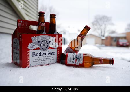 Marinette,WI,USA -DEC1-2021: Un venditore all'aperto vende birra Budweiser refrigerata su un tavolo con molta neve. Bottiglie di birra Bud, un pallido all'americana Foto Stock