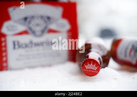 Marinette,WI,USA -DEC1-2021: Un venditore all'aperto vende birra Budweiser refrigerata su un tavolo con molta neve. Bottiglie di birra Bud, un pallido all'americana Foto Stock