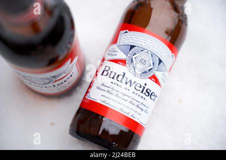 Marinette,WI,USA -DEC1-2021: Un venditore all'aperto vende birra Budweiser refrigerata su un tavolo con molta neve. Bottiglie di birra Bud, un pallido all'americana Foto Stock