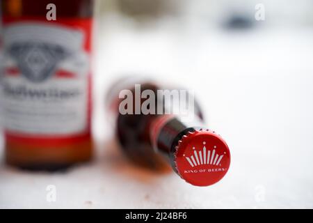 Marinette,WI,USA -DEC1-2021: Un venditore all'aperto vende birra Budweiser refrigerata su un tavolo con molta neve. Bottiglie di birra Bud, un pallido all'americana Foto Stock