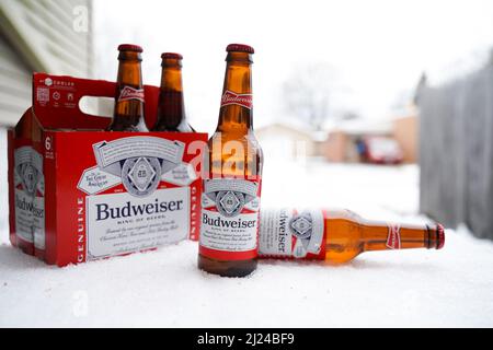 Marinette,WI,USA -DEC1-2021: Un venditore all'aperto vende birra Budweiser refrigerata su un tavolo con molta neve. Bottiglie di birra Bud, un pallido all'americana Foto Stock