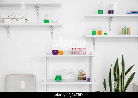 Ripiani con vetreria chimica appesi alla parete della luce in laboratorio Foto Stock