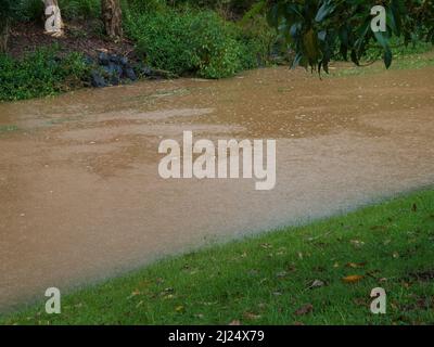 Acqua dappertutto, grandi gocce di pioggia che cadono spruzzando nella fossa fognaria troppo piena, tempo tempestoso, non drenando abbastanza velocemente, Autunno, NSW Australia Foto Stock