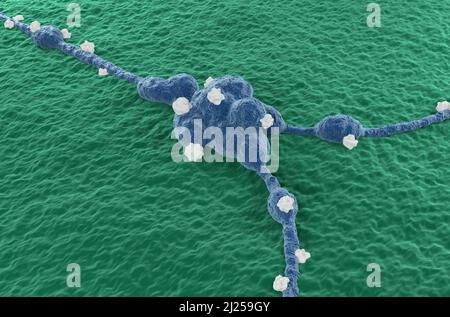 Neuroblastoma cellule tumorali nel sistema nervoso centrale (cancro del cervello) - vista isometrica 3D illustrazione Foto Stock