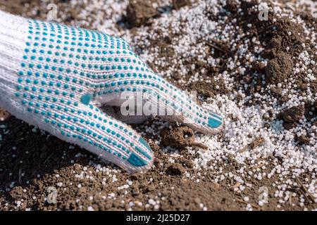 Agricoltore che detiene fertilizzante granulare NPK per terreno in mano, primo piano con fuoco selettivo Foto Stock