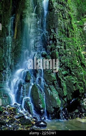 Cascate di Horseshoe, The Catlins, Southland, Aotearoa / Nuova Zelanda Foto Stock