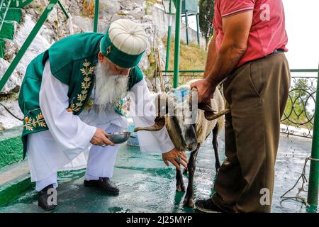 Festa di Ashura nel santuario di Bektashi di Sari Salltik, Kruje, Albania. Sacrificio rituale Foto Stock